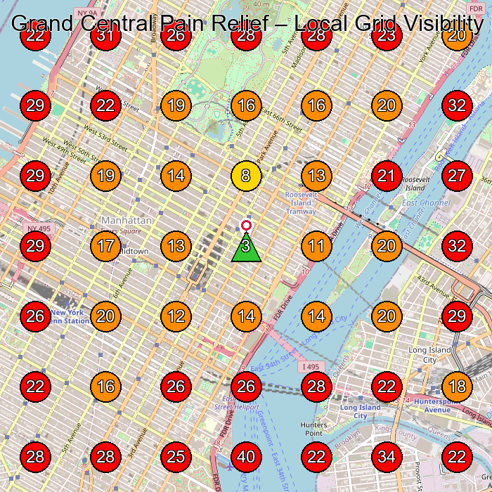 Grand Central Pain Relief GeoGrid visibility map for Physical Therapy Clinic in New York